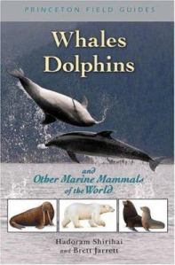 Whales-Dolphins-and-Other-Marine-Mammals-of-the-World-9780691127576